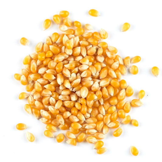 POPPING CORN 250g