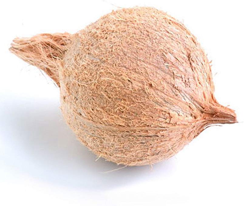 POOJA COCONUT 1