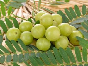 ROYAL GOLD AMLA PICKLE 1KG