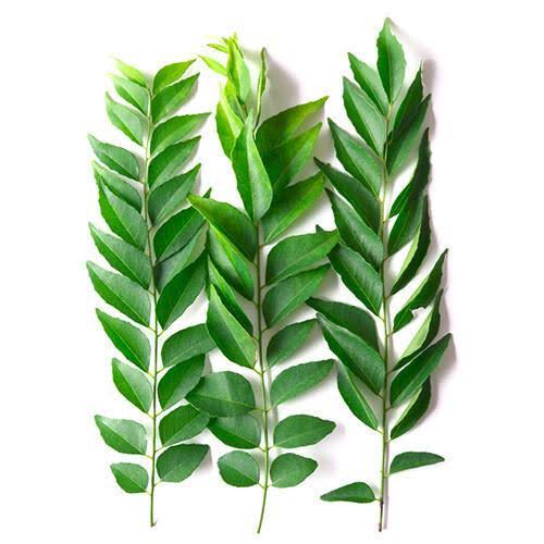CURRY LEAVES