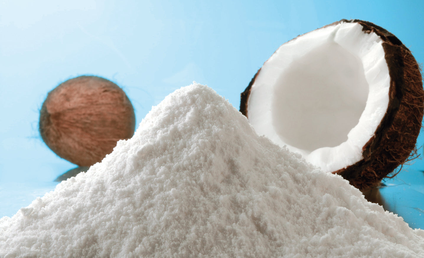 COCONUT POWDER 200G