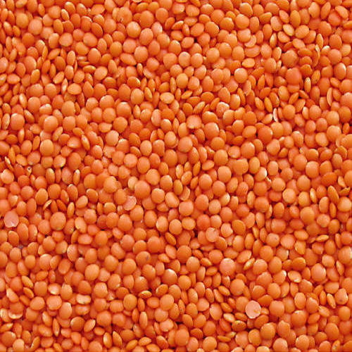 RED LENTILS 1KG