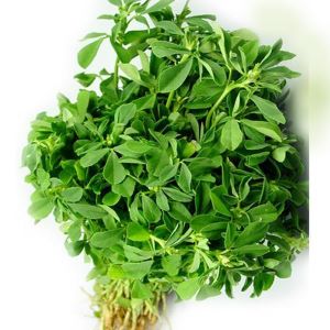 METHI 312G