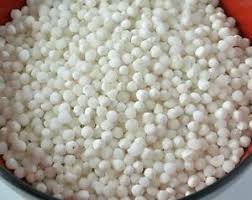 GAAY SABUDANA500