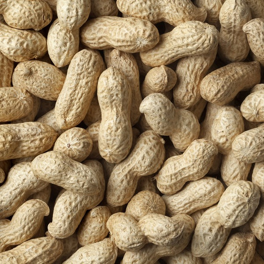 SHELLED PEANUTS 500G