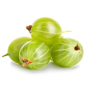 AMLA 312G