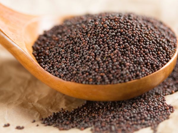 BLACK MUSTARD SMALL SEEDS 100GM