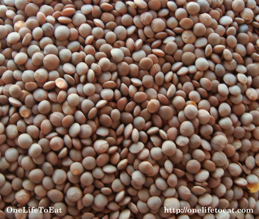 LENTILS WHOLE (MASOOR) 1kg