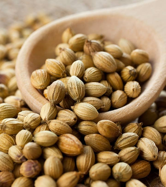 CORIANDER SEEDS