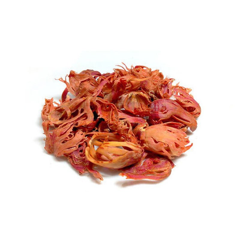 MACE JAVINTRI