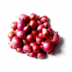 RED ONIONS - SHALLOTS