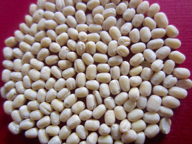 URID GOTA 1KG