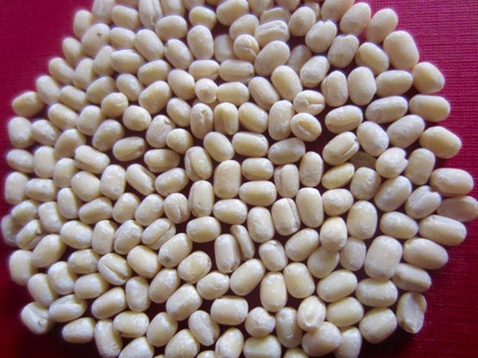 URID GOTA 1KG