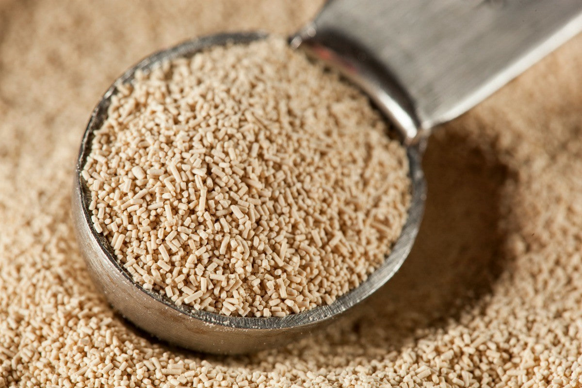 BAKER'S YEAST 10G
